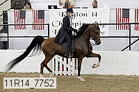 11r14_7752 thumbnail