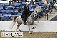 11r14_7753 thumbnail