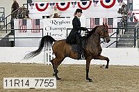 11r14_7755 thumbnail