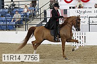 11r14_7756 thumbnail
