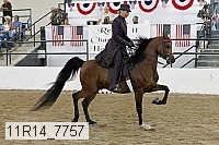 11r14_7757 thumbnail