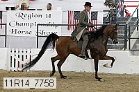 11r14_7758 thumbnail