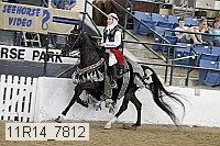 11r14_7812 thumbnail
