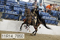 11r14_7850 thumbnail
