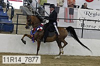 11r14_7877 thumbnail