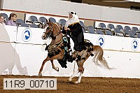 11r9_00710 thumbnail