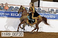 11r9_00720 thumbnail