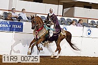 11r9_00725 thumbnail