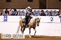 11r9_00781 thumbnail