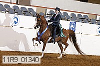 11r9_01340 thumbnail