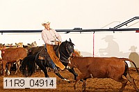 11r9_04914 thumbnail