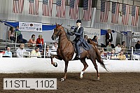11stl_1102 thumbnail