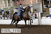 11stl_1110 thumbnail