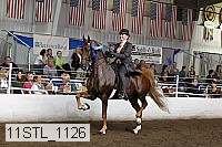 11stl_1126 thumbnail