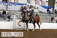 11stl_1129 thumbnail