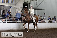 11stl_1162 thumbnail