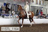 11stl_1164 thumbnail
