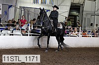 11stl_1171 thumbnail