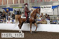 11stl_1175 thumbnail