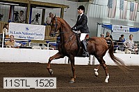 11stl_1526 thumbnail