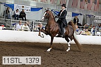11stl_1379 thumbnail
