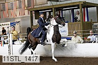 11stl_1417 thumbnail