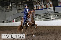 11stl_1422 thumbnail