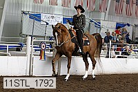 11stl_1792 thumbnail