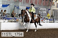 11stl_1794 thumbnail