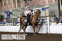 11stl_1795 thumbnail