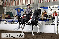 11stl_1796 thumbnail