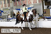 11stl_1797 thumbnail