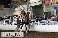11stl_1807 thumbnail