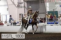 11stl_1808 thumbnail