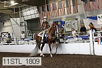 11stl_1809 thumbnail