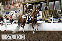 11stl_1810 thumbnail