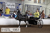 11stl_1951 thumbnail