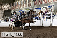 11stl_1966 thumbnail