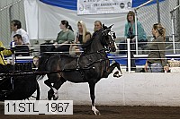 11stl_1967 thumbnail
