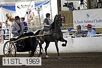11stl_1969 thumbnail