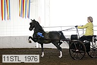 11stl_1976 thumbnail