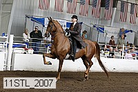 11stl_2007 thumbnail