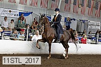 11stl_2017 thumbnail