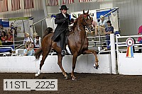 11stl_2225 thumbnail