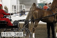 11stl_2458 thumbnail