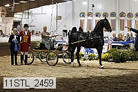 11stl_2459 thumbnail