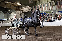 11stl_2461 thumbnail