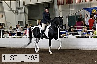 11stl_2493 thumbnail