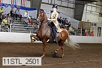 11stl_2501 thumbnail