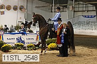 11stl_2548 thumbnail